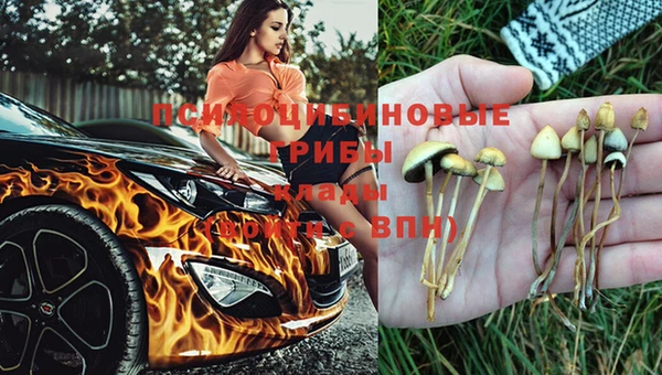 2c-b Алзамай