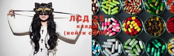 2c-b Алзамай